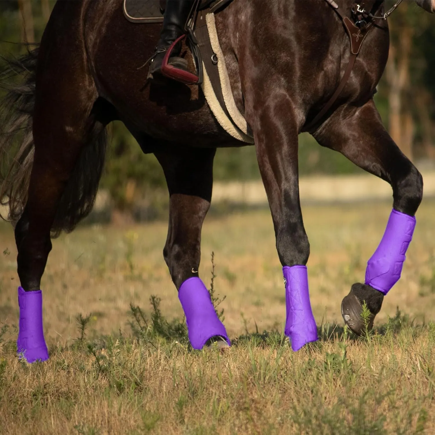 Harrison Howard Horse Sport Medicine Front Shock-Absorbing Boots All-Round Lower Limb Protection & Support Sport Boots Athletic Boots Perfect for Endurance Training and Performance Regal Purple M
