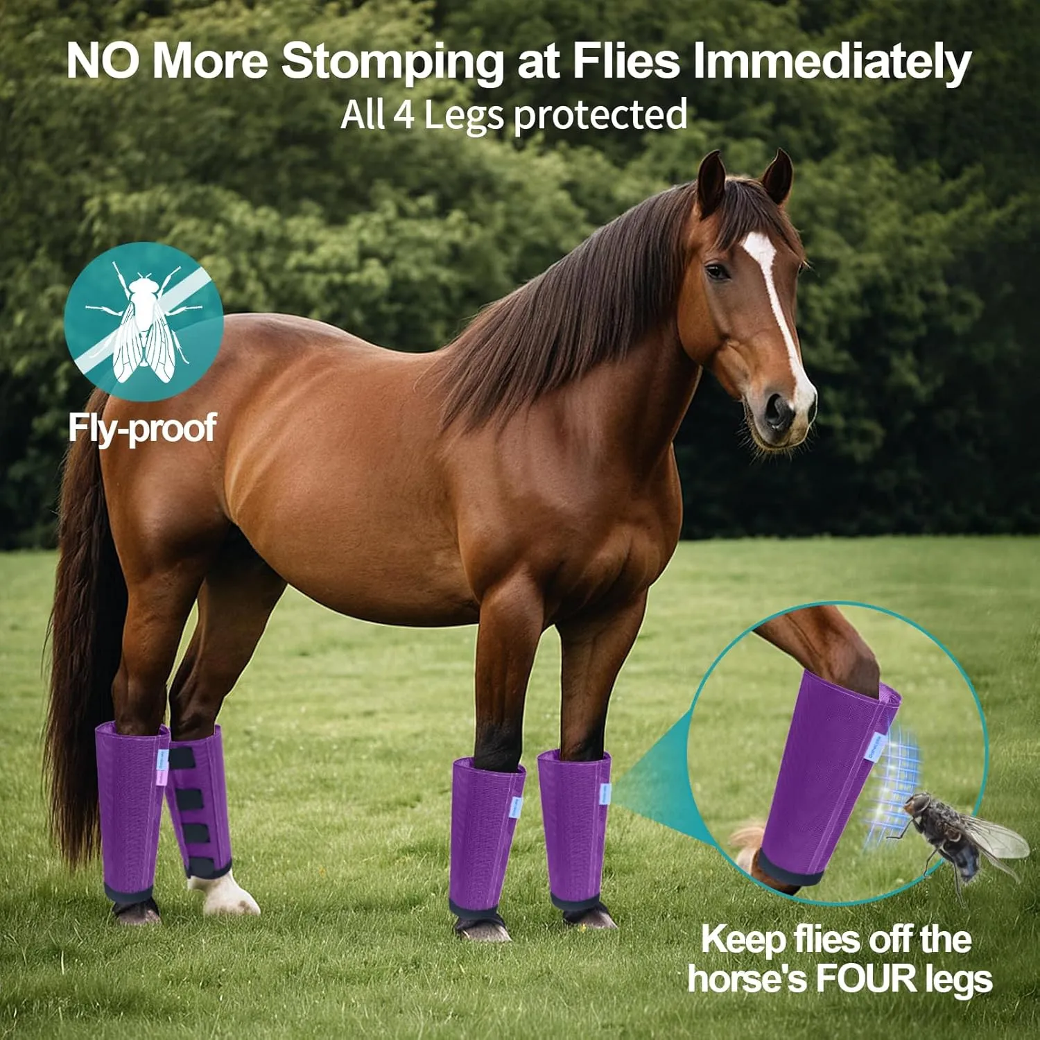Mesh Horse Fly Boots Set of 4, Loose Fitting Leggings for Horses, Reduce Stressful Stomping, Breathable Adjustable and Universal Fit for 4 Legs, Reliable Stay Put (Purple)